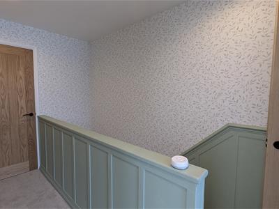 Picture 12